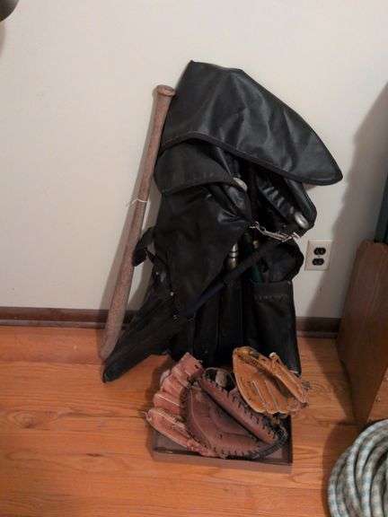 8 aluminum bats and 1 wooden bat, Tag collegiate bat carrier with 4 baseball gloves image