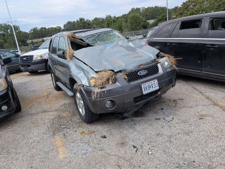 2006 FORD ESCAPE image