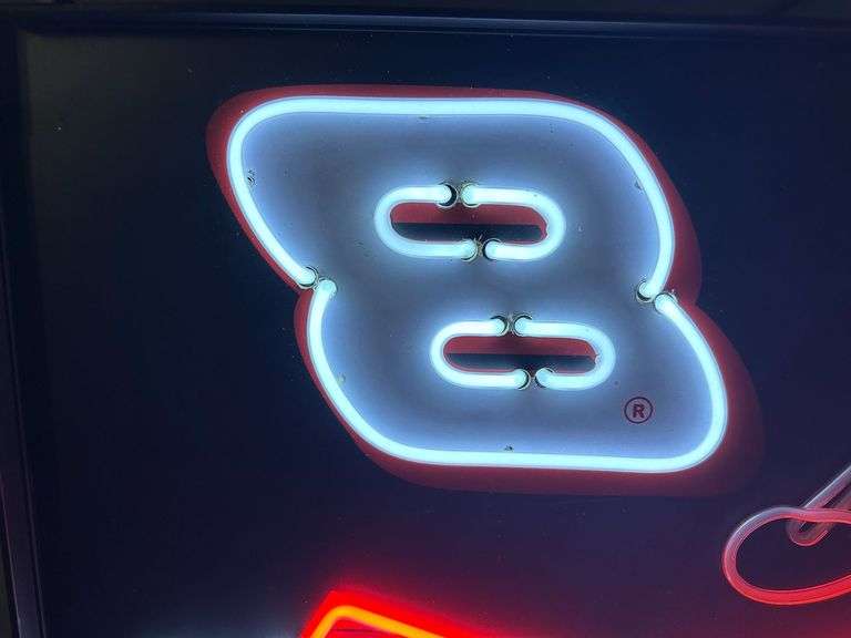 Dale Earnhardt Jr Nascar Budweiser Neon Beer Sign