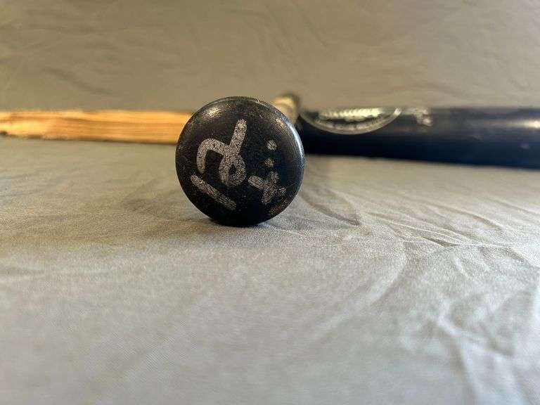 Carlos Pena Detroit Tigers Bat
