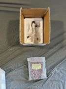 Danbury Mint Nomar Garciaparra Figurine