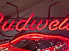 Budweiser Dale Earnhardt Jr Beer Sign
