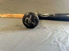 Carlos Pena Detroit Tigers Bat