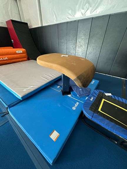 Vault Horse- Table Model