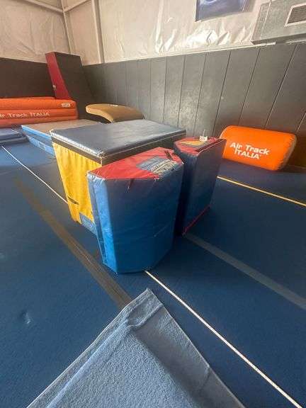 (3x) Training Pads image