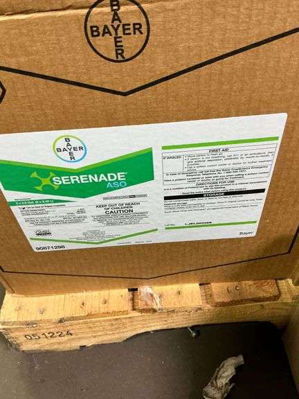 Pyganic 50, Serenade image