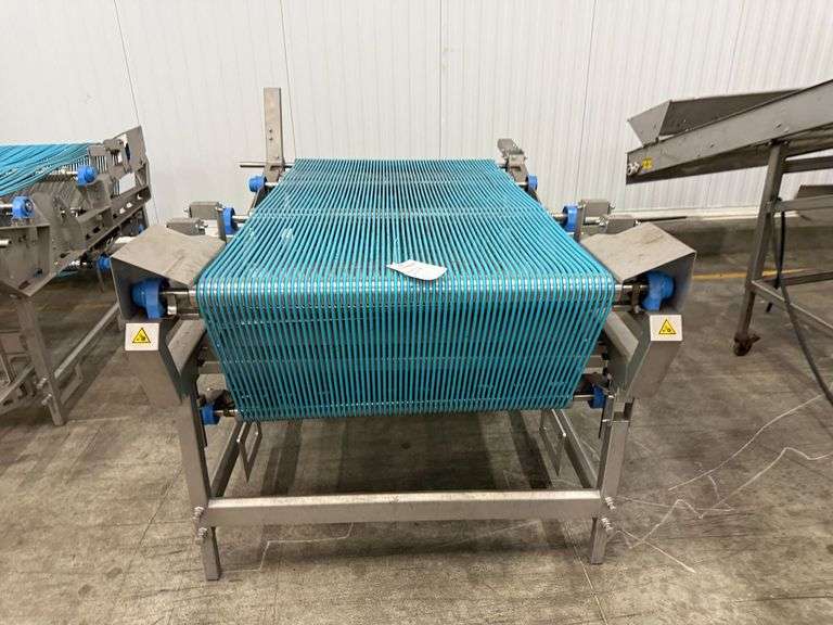 Berry Sizing Conveyer image