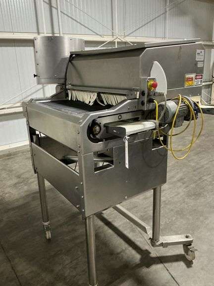 2020 Kato Blueberry Eliminator Infeed image