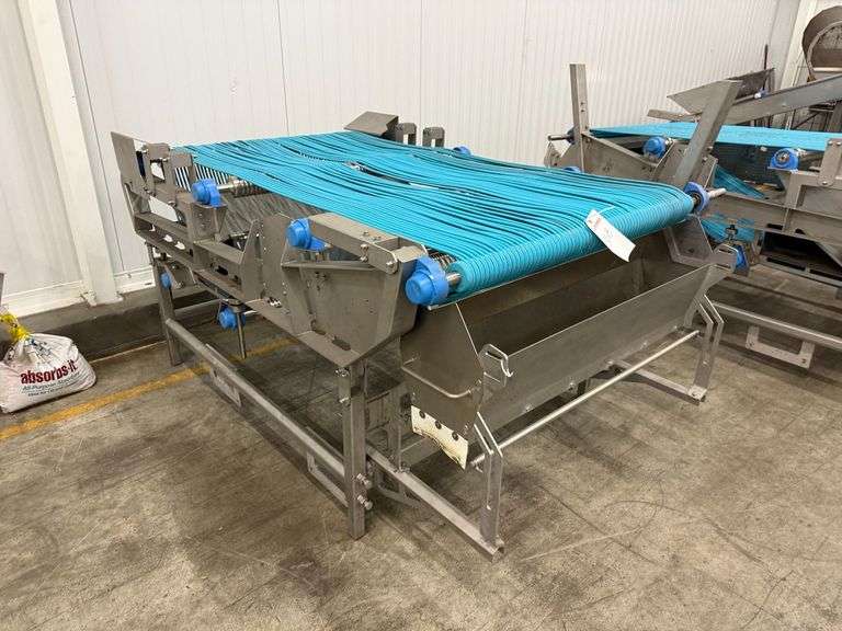 Berry Sizing Conveyer image