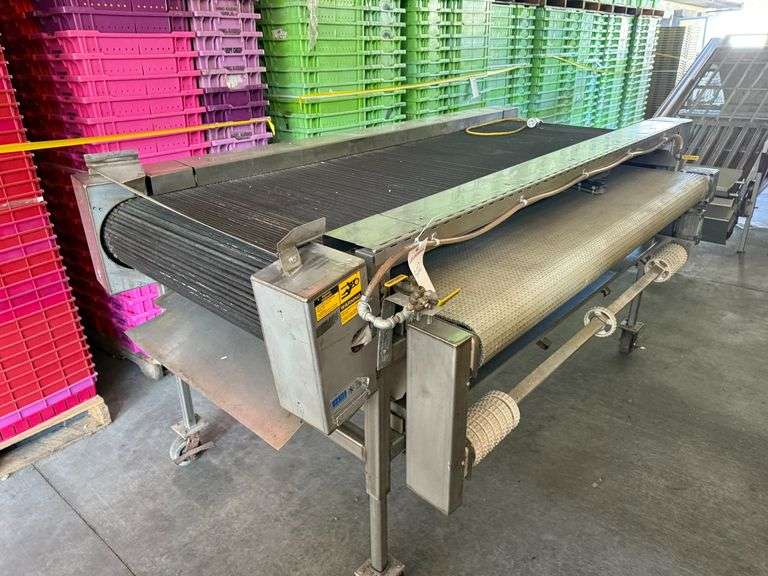 Conveyers for Berry Packing Line image
