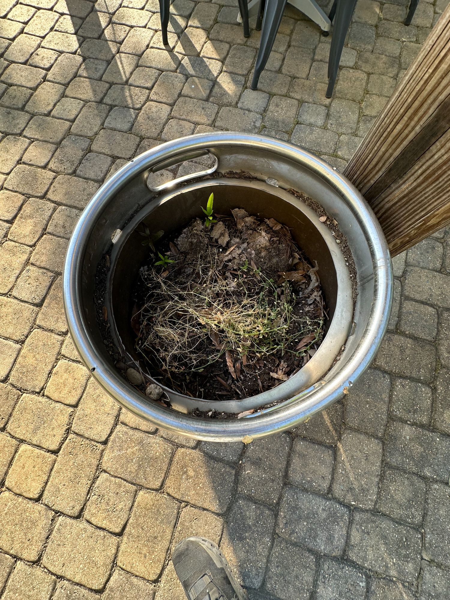 Lot image 6