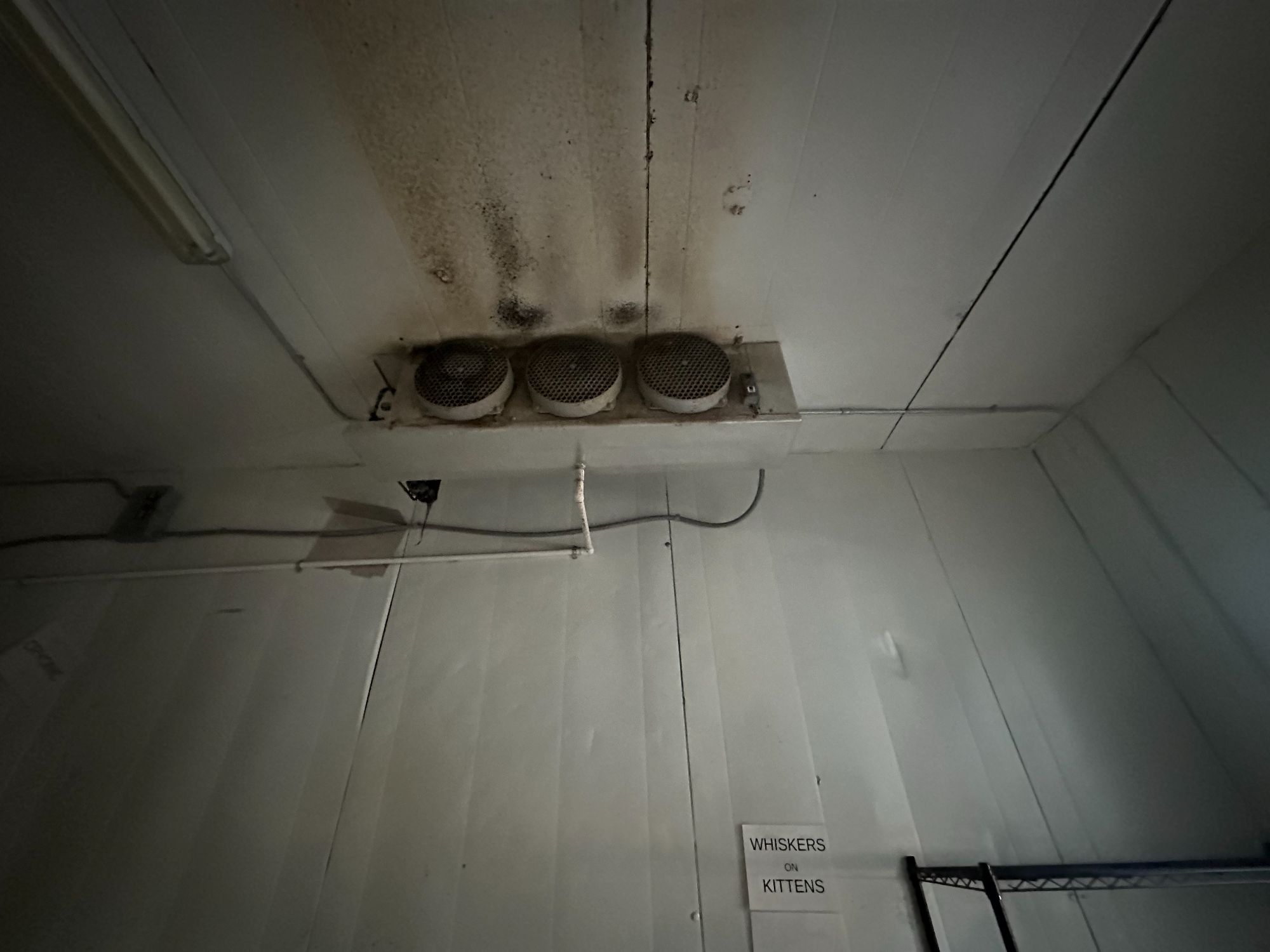 Lot image 4