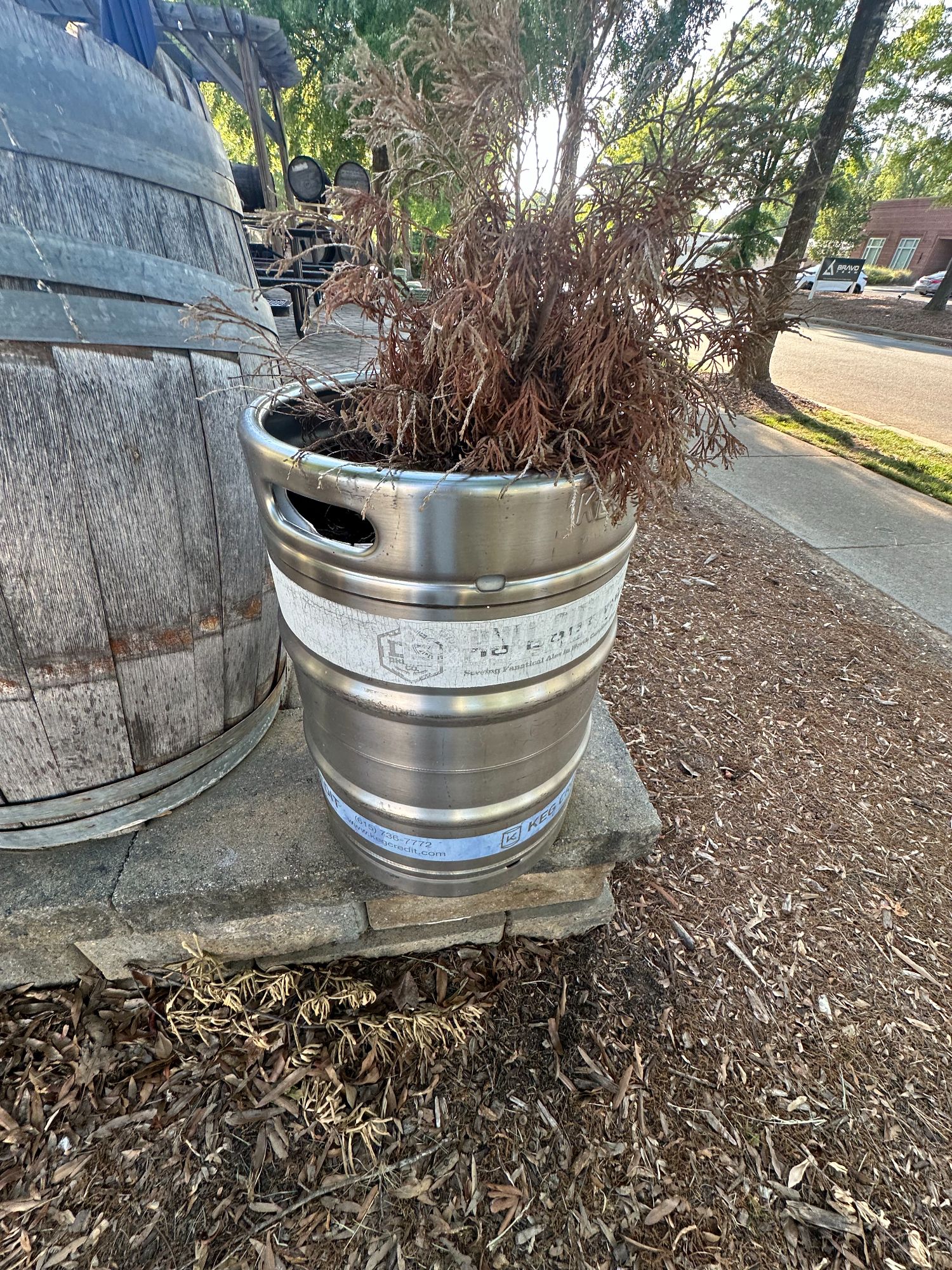 Lot image 4