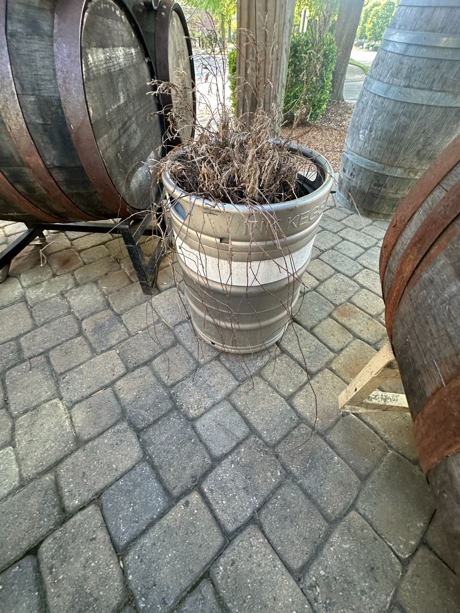 Lot image 7
