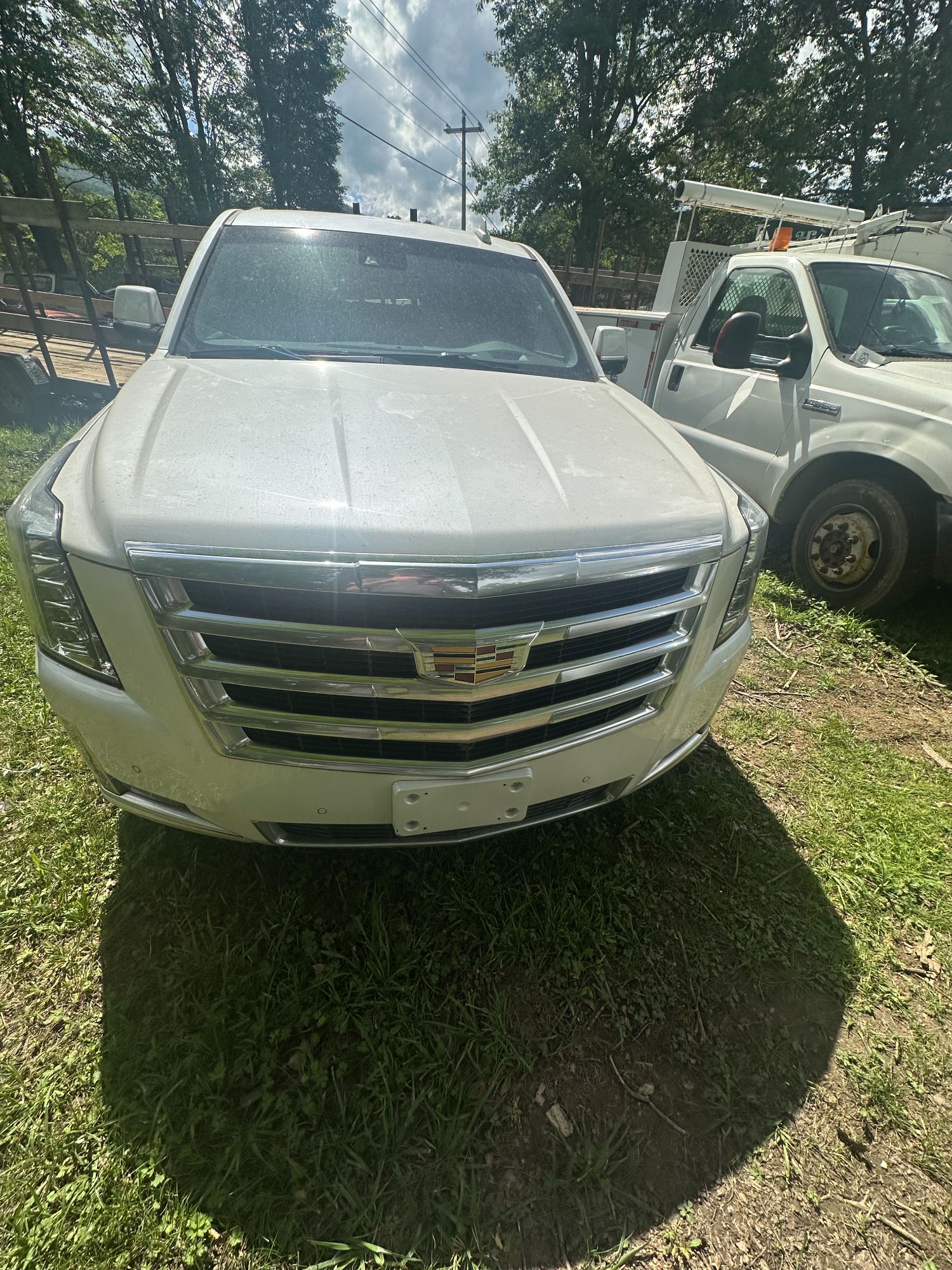 Lot image 10