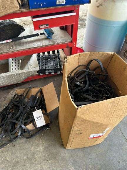 One Box High Density Rubber Bungees