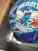 1995-1996 Charlotte Hornets Team Signed Ball