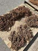 Lot of Heavy Duty Freight Chains