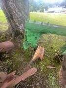 John Deere Model 1350 5 Tooth 3 Point Rear Mounted Plow