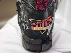 Charlotte Hornets Signed Converse Shoe