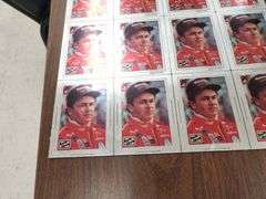 Nascar Collectible Cards and Ernie Irvan Plaque