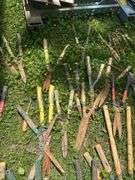 Lot of Assorted Lawn & Garden Tools