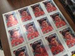 Nascar Collectible Cards and Ernie Irvan Plaque
