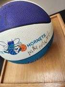 1990's Charlotte Hornets Team Signed Ball in Display Case