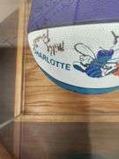 1990's Charlotte Hornets Team Signed Ball in Display Case
