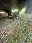 2000 Gatormade Trailer 25'_5.5' VIN# 4Z1VA162XY3002252