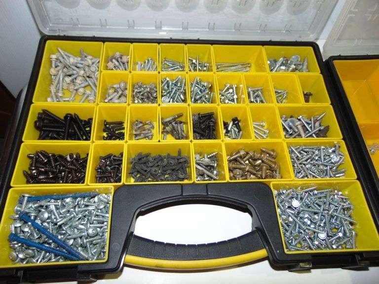 Two Storage Trays of Screws, Sheet Metal Screws