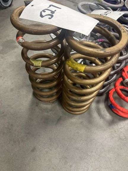 TwoUsed Rear Gold Springs