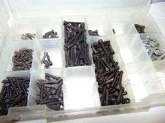Two Storage Trays of Screws, Allen Head Bolts, Etc.