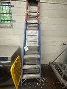 Two Fiberglass Ladders