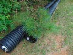 Two Plastic Pipes 12" x 20'