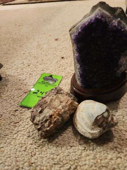 Dark purple amethyst Stone and shell image