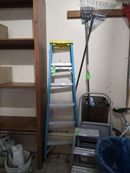 Werner 6 ft ladder image