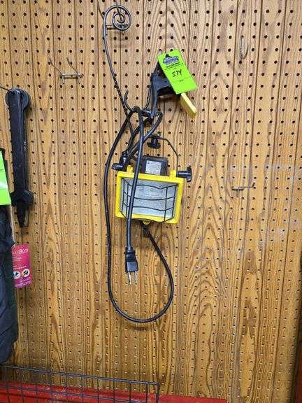 Light and door swinger image