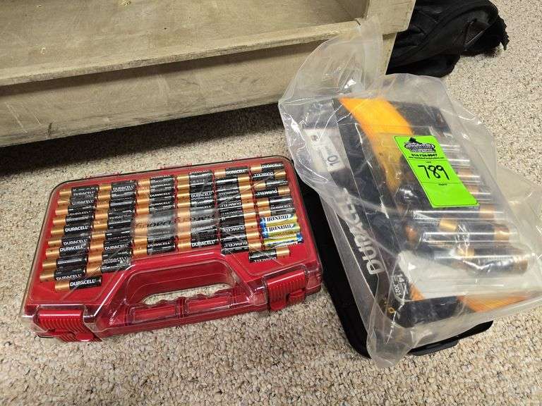 Lot of various batteries and carrying case image