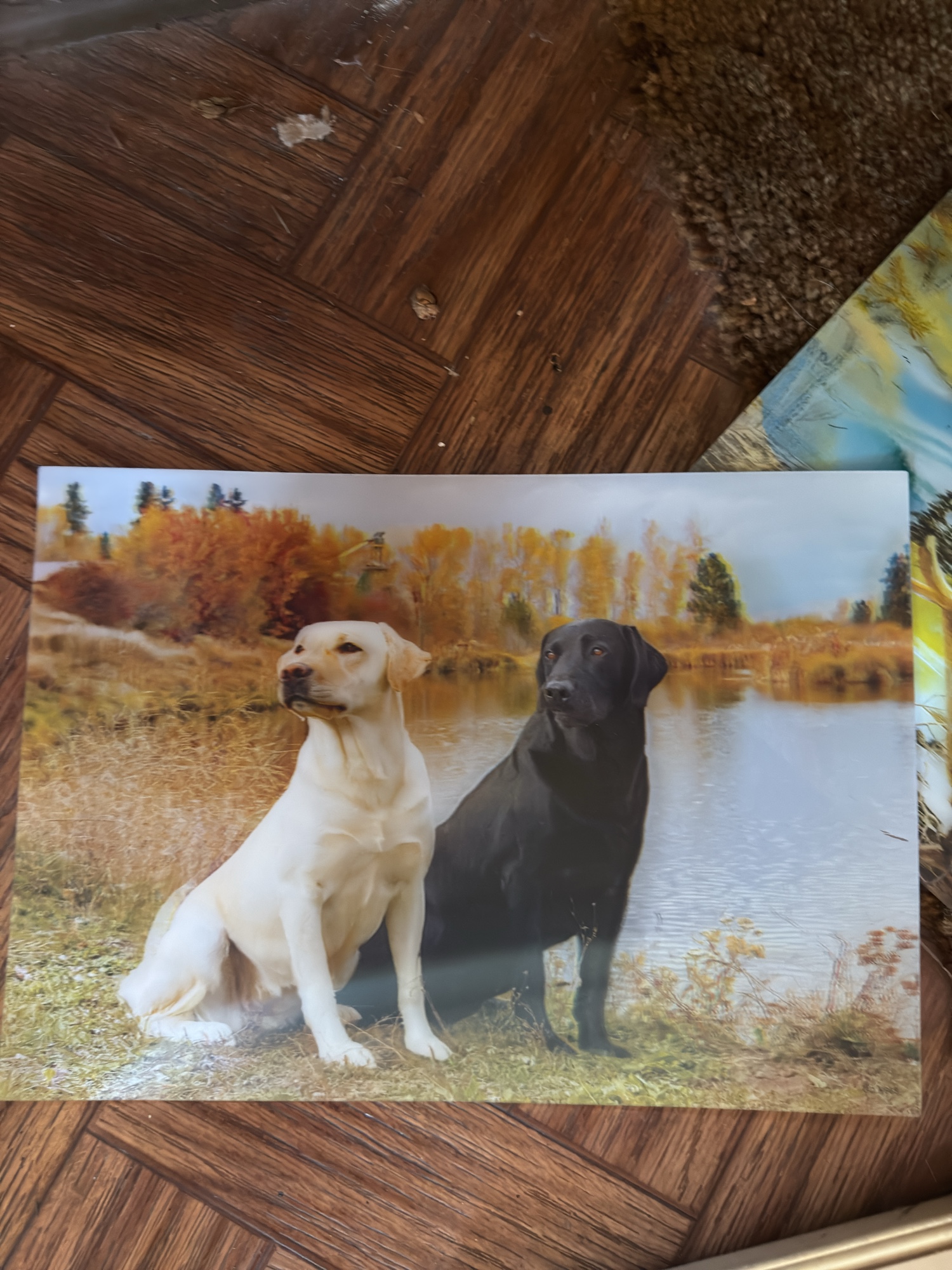 Lot image 5