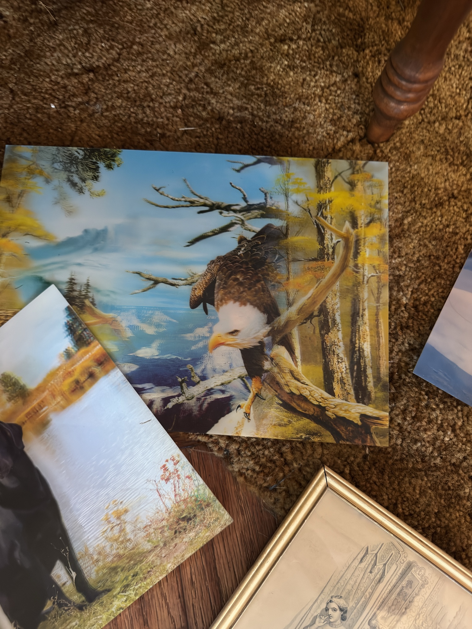Lot image 6