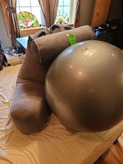 Exercise ball and back rest