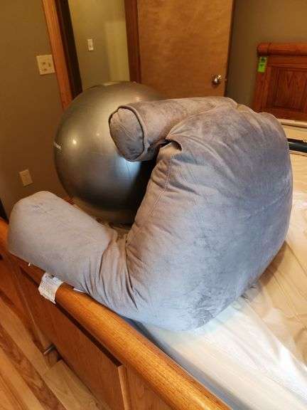 Exercise ball and back rest