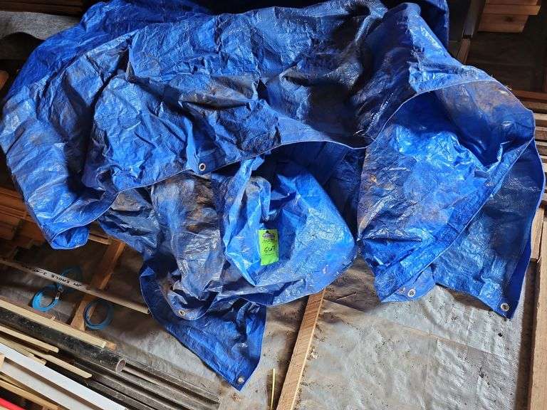 Tarp