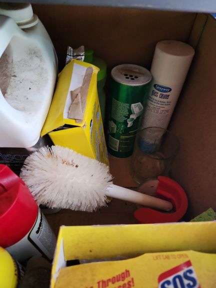 Assorted kitchen cleaning supplies