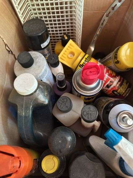 Assorted garage sprays and pesticides
