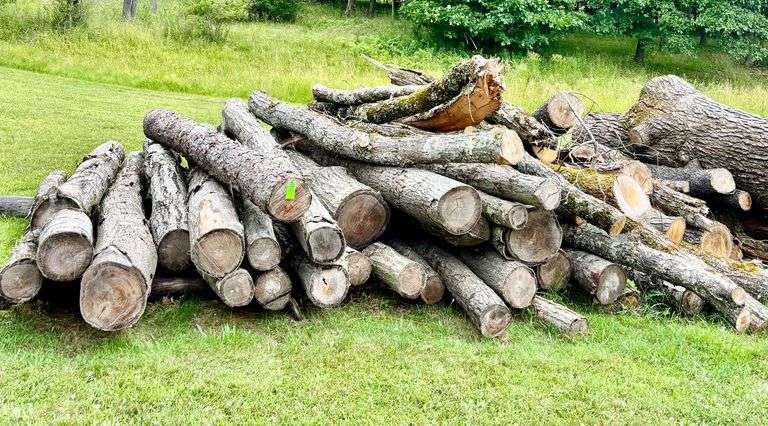 Pile of logs