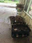 Large outdoor pots and planters, one metal rolling plant stand