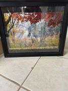 Miscellaneous empty 8 x 10 empty frames one deer photograph