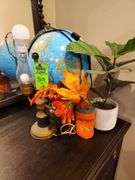 Lamp Planters and globe